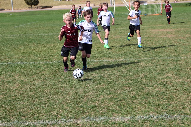 渝媒介绍重庆铜梁龙冲超庆典：也是新股东形象的首次集中展示