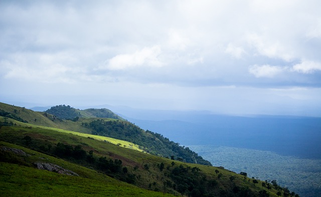 篮球篮网结束连败，全队积极庆祝
